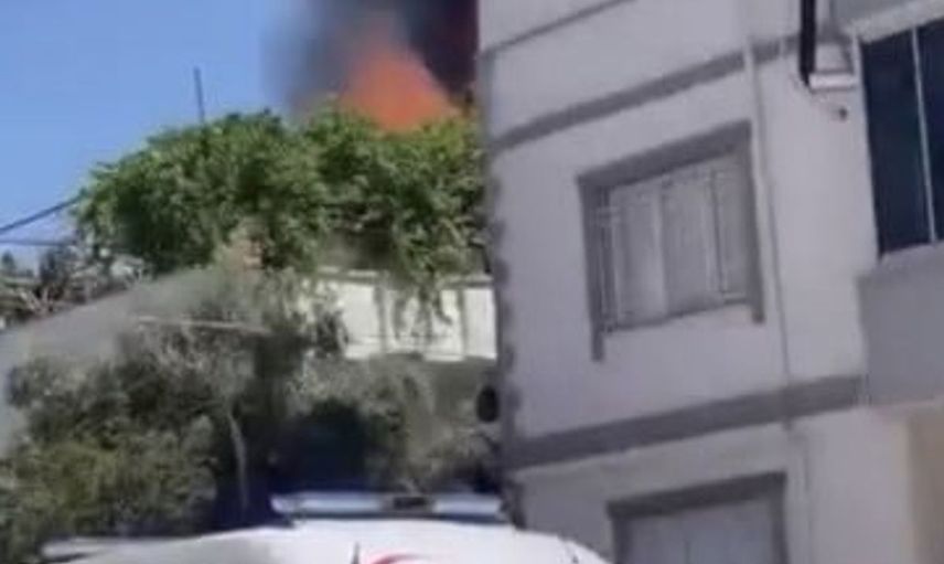 Osmaniye'de çıkan yangında 7 güvercin telef oldu, sahibi yaralandı