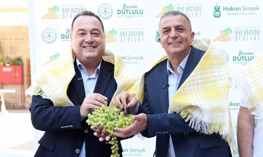 Şehzadeler’de dört gün sürecek bağ bozumu şenlikleri başlıyor
