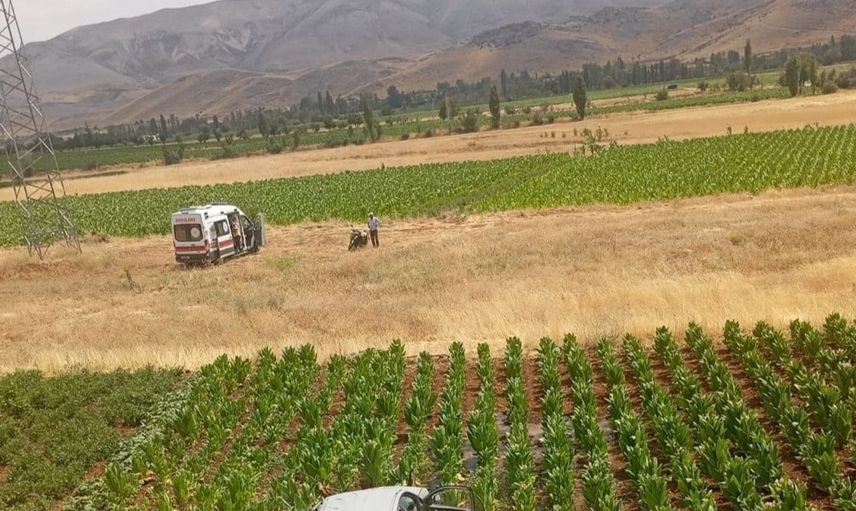 Malatya'da direksiyon hakimiyeti kaybedildi: Tütün tarlasına savrulan otomobilde 3 yaralı