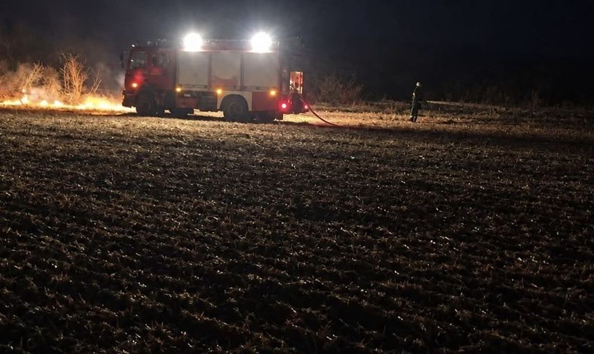 Muratlı'da başıboş alevler paniği: Yangın kontrol altına alındı