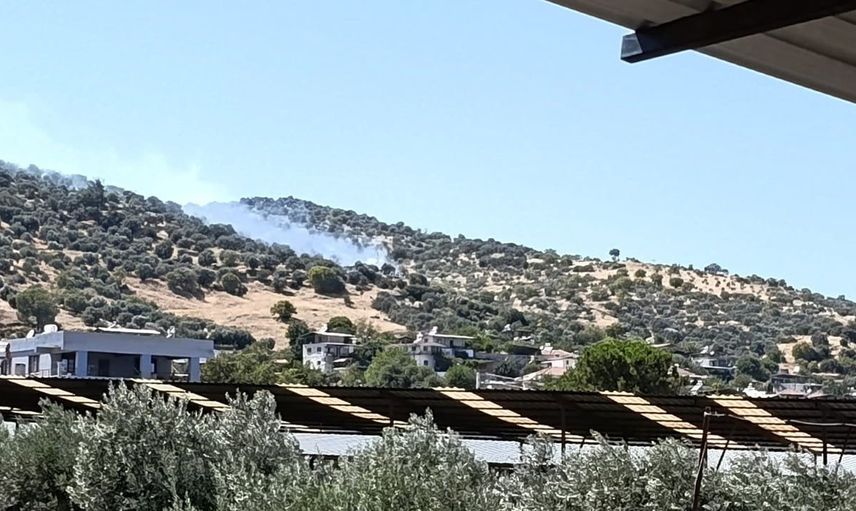 Bozdoğan'daki zirai alan yangını kontrol altına alındı