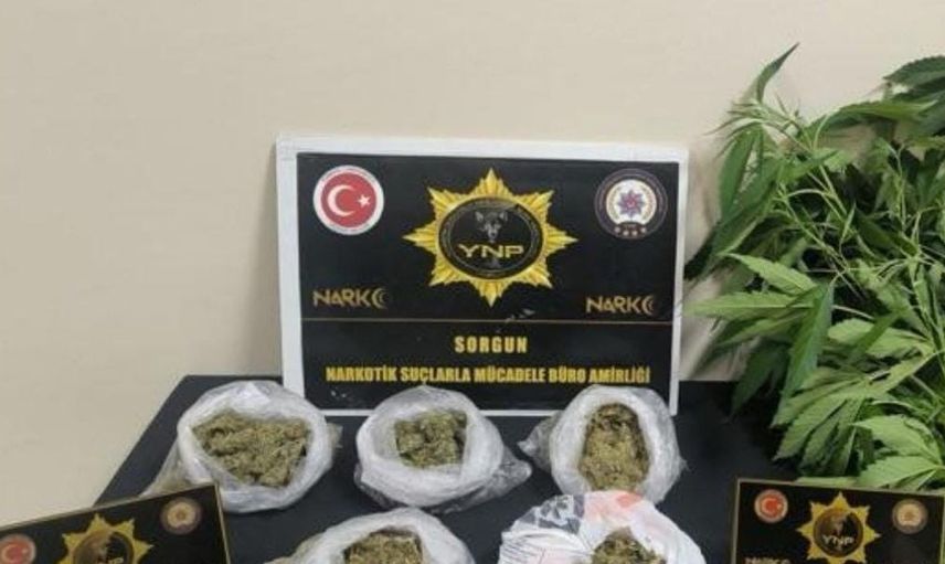 Yozgat'ta düzenlenen operasyonda esrar ve kenevir ele geçirildi