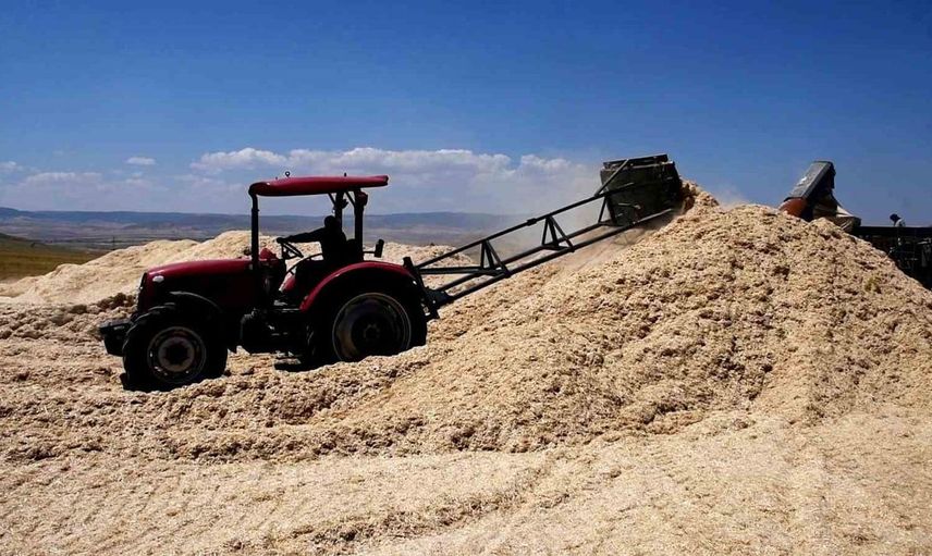 Yozgat’ta saman mesaisi: tozun içinde ekmek mücadelesi