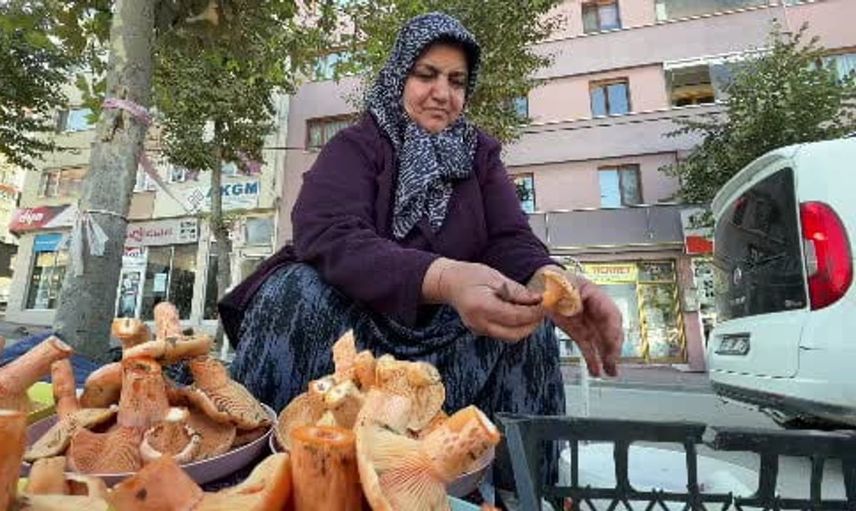 Bolu’da ormanlardan toplanan kanlıca mantarı, pazarda dikkat çekiyor