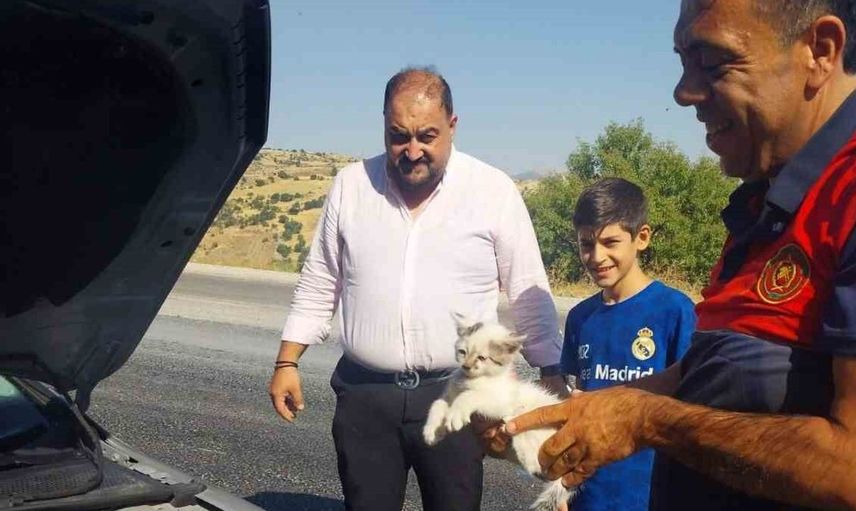 Adıyaman'da sıkışan kedi itfaiye ekipleri tarafından kurtarıldı