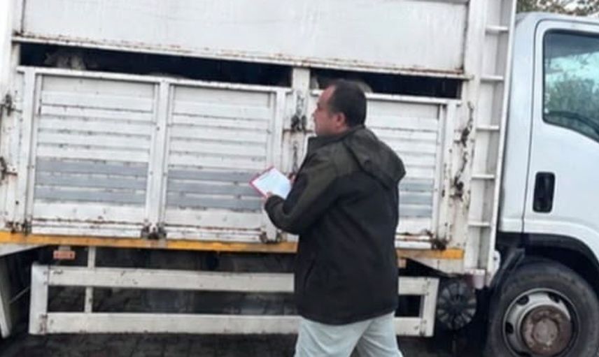 Sakarya'da belgesiz hayvan sevkine yasal müdahale