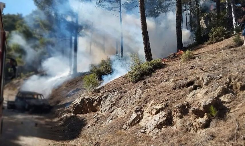 Denizli'de orman yolu üzerindeki araç yangını hızlı müdahale ile söndürüldü