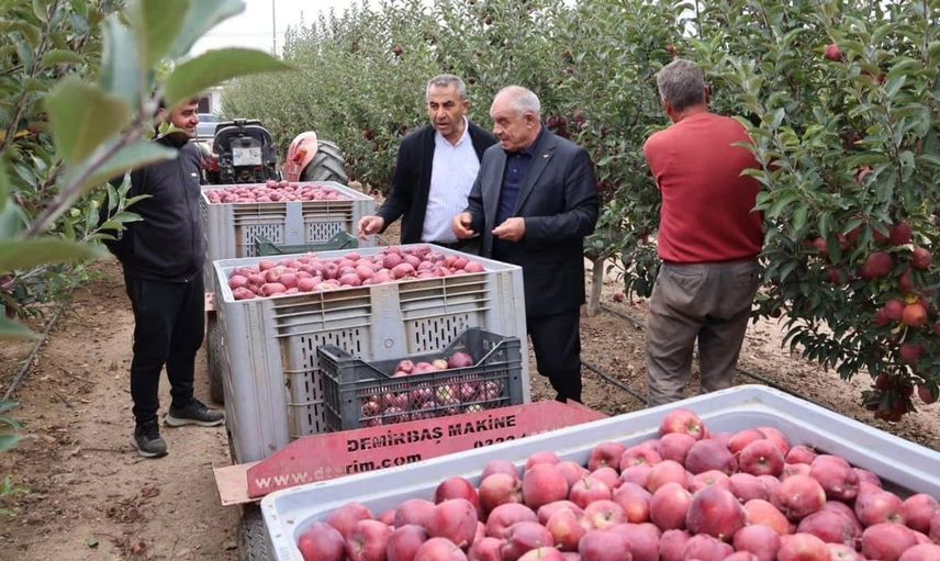 Yahyalı'da elma hasadı sezonu bereketi getirdi