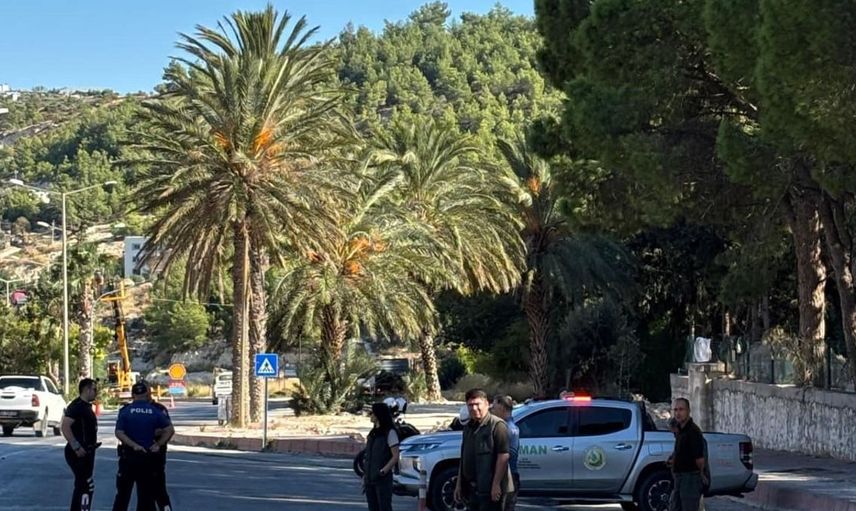 Mersin'de orman suçlarına karşı etkin önlemler alınıyor