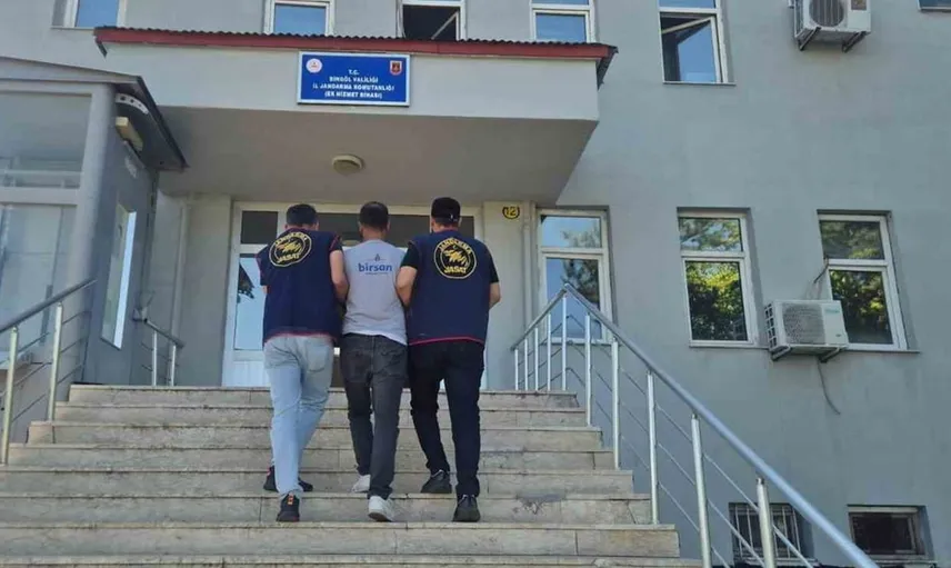 Bingöl'de jandarmadan büyük uyuşturucu operasyonu: 5 bin 176 kök kenevir ele geçirildi
