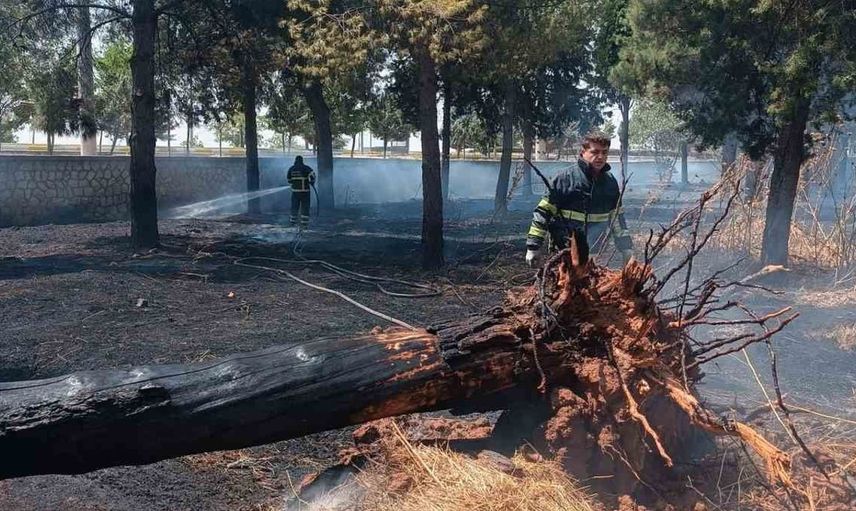 Mardin'de örtü yangını kontrol altına alındı