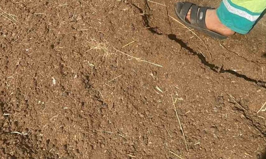 Şanlıurfa'da devrilen traktörün sürücüsü hastaneye kaldırıldı