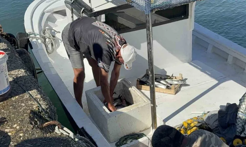 Zonguldaklı balıkçılar sezonu 50 ton palamutla açtı
