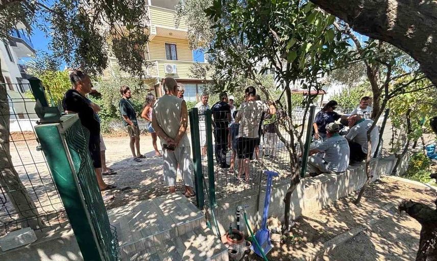 Burhaniye'de yol genişletme çalışmaları sırasında ağaç kesimi tepki topladı