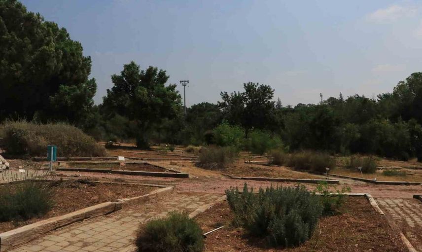Adana'da botanik bahçesi, yüzlerce bitki türüne ev sahipliği yapıyor