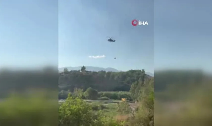 Kaş yangınında hayvanlar için umut: Koyunlar ve kaplumbağa kurtarıldı