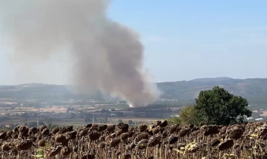 Mudanya'da başlayan tarım yangını ormana sıçradı: Kontrol altına alındı