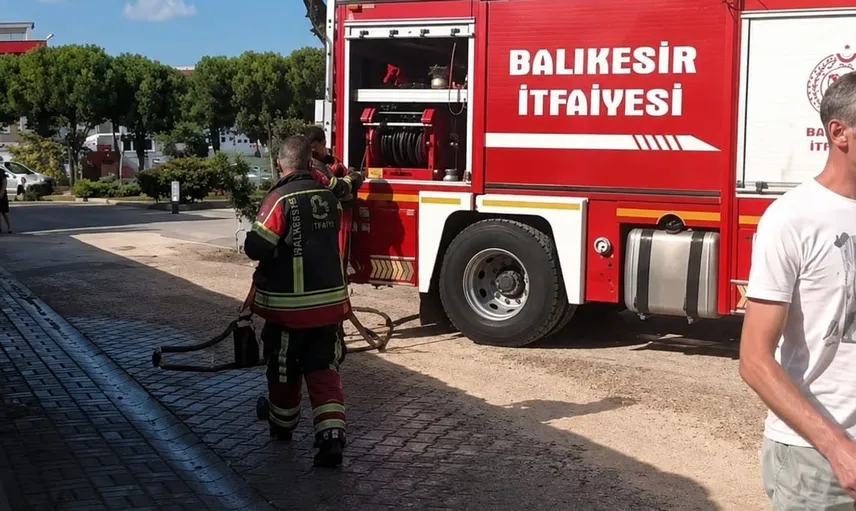 Düğün konvoyundan fırlatılan havai fişek, okul bahçesindeki çam ağacını ateşe verdi