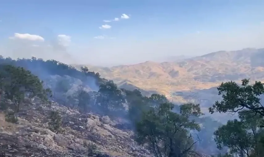 Siirt'te orman yangınları art arda çıktı: Mücadele sürüyor