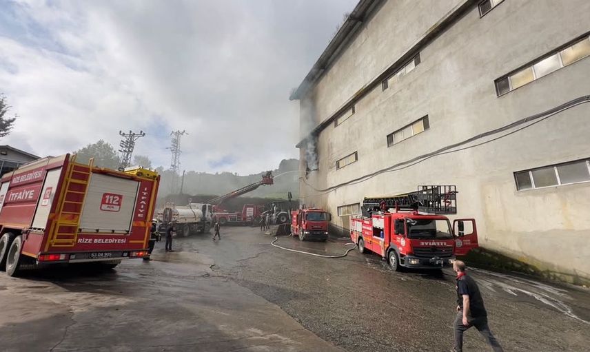 Rize'de çay fabrikasında yangın paniği: Can kaybı yok, hasar sınırlı