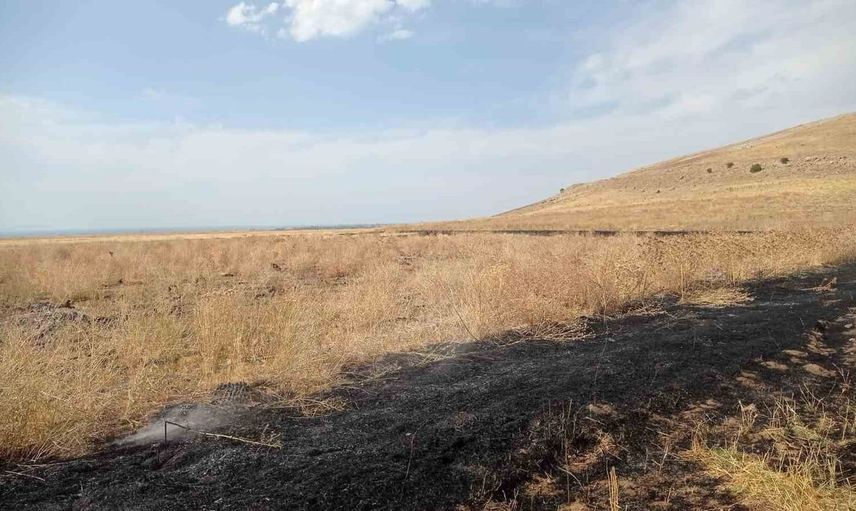 Gevaş’ta çıkan örtü üstü yangın itfaiye tarafından kontrol altına alındı
