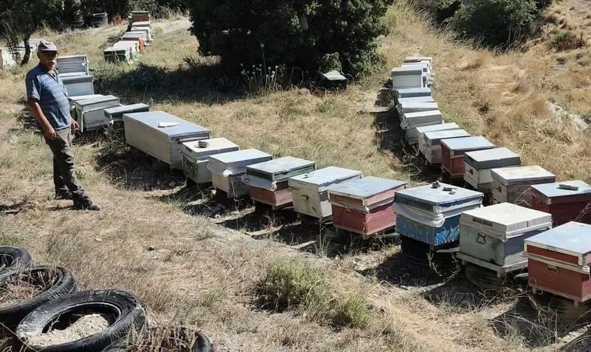 Burdur'da arılı kovan tespit çalışmaları sürüyor