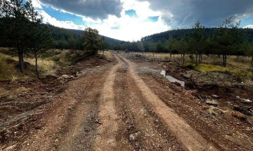 Bolu'da orman yangınlarına daha etkin müdahale için altyapı güçlendi