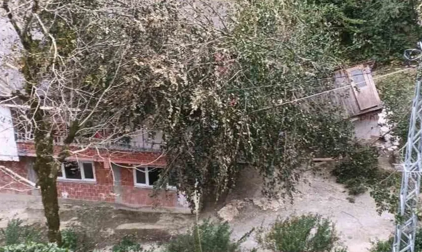 Artvin'de kuvvetli rüzgâr ağaçları devirdi, maddi hasar oluştu