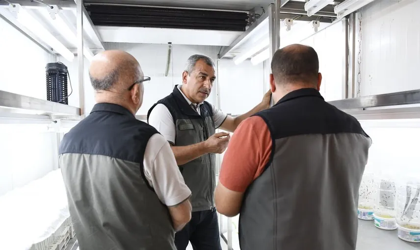 Mersin'de orman ekosisteminin koruyucuları laboratuvar ortamında yetiştiriliyor