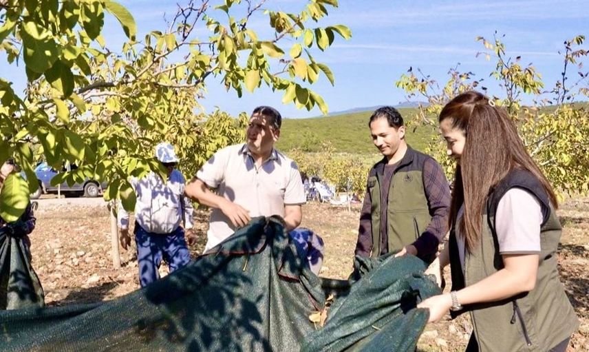 Orman köylülerinin kalkınmasına katkı sağlayan ağaçlandırma projeleri meyve vermeye başladı