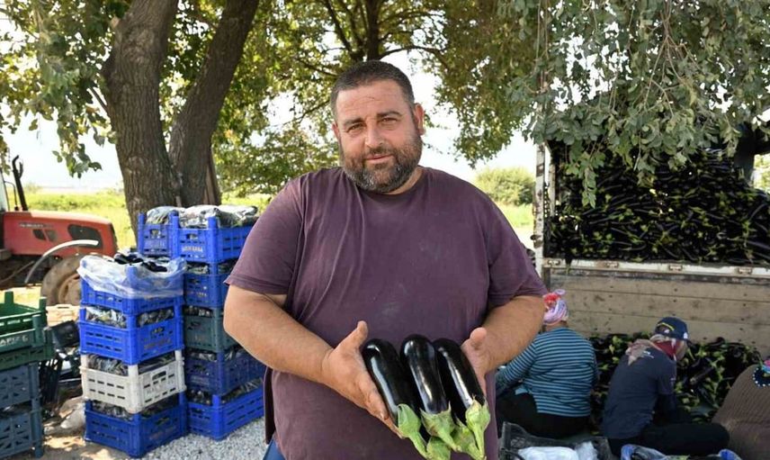 Manisa'da sel felaketinin ardından yeniden hasat sevinci yaşandı