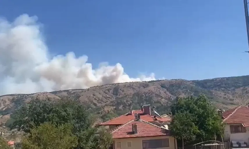 Ankara ve Çankırı sınırında orman yangını paniği