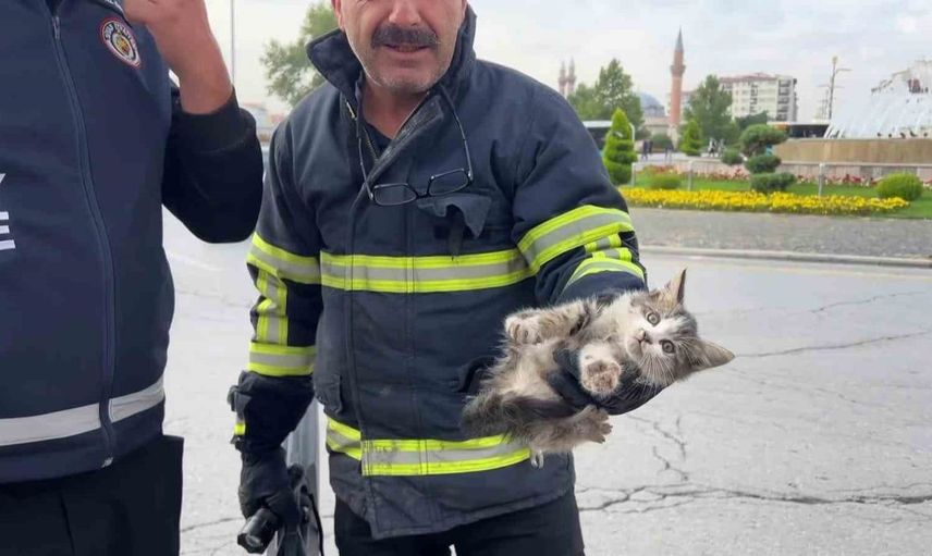 Sivas'ta itfaiye, kaput arasında sıkışan yavru kediyi kurtardı