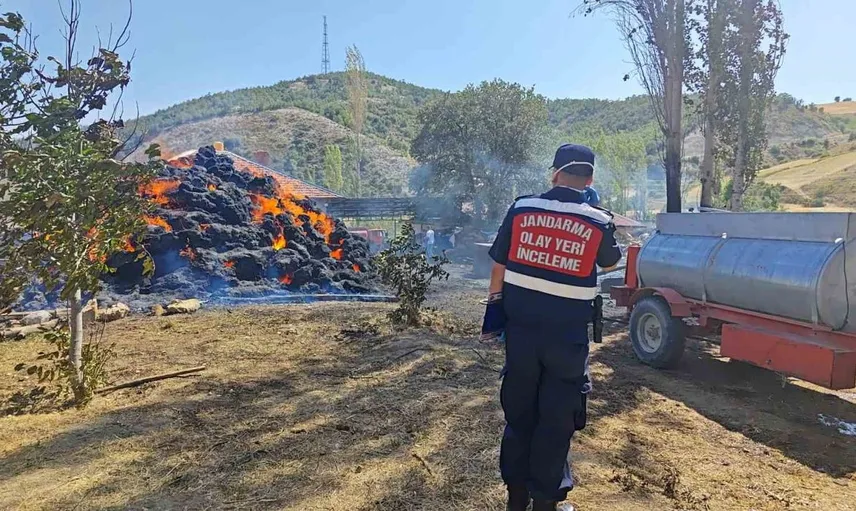 Isparta'da besihane yangınında büyük zarar: 4 bin saman balyası yandı
