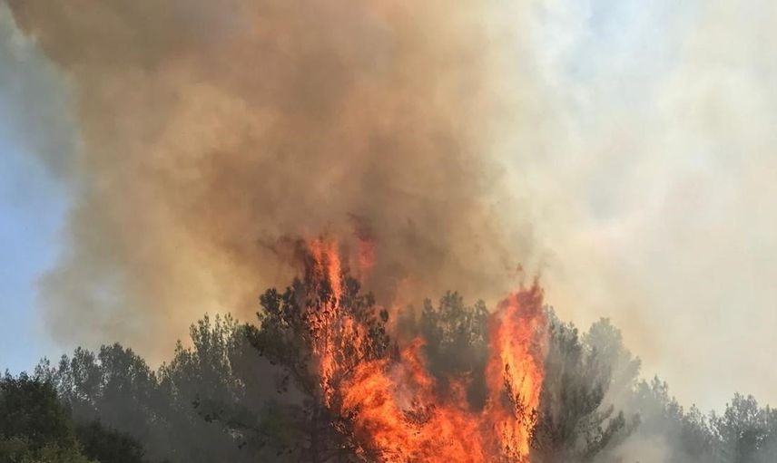 Muğla'nın Menteşe ilçesinde orman yangınına müdahale başladı