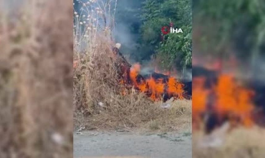 Bolu'da çıkan ot yangını mahalle sakinlerinin müdahalesiyle kontrol altına alındı