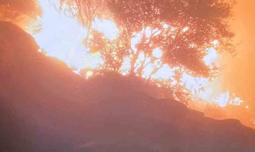 Yatağan'da orman yangını; ekipler hızlı müdahalede bulundu