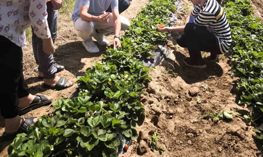 Kocaeli'de dağköy'de kadın ve genç girişimcilerin tarımda gücü artıyor