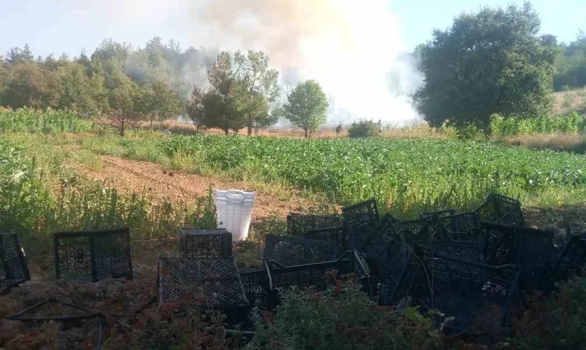 Bursa'da orman yangınına hızlı müdahale: Ekipler seferber oldu