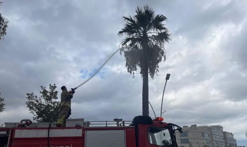 İskenderun'da yıldırım düşmesi sonucu ağaçta yangın çıktı