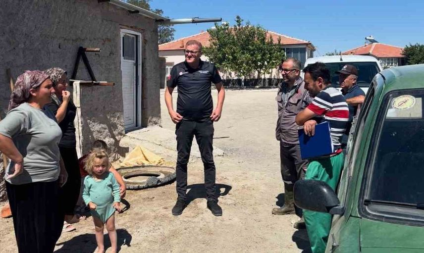 Niğde'de büyükbaş hayvanlarda aşılama seferberliği başladı