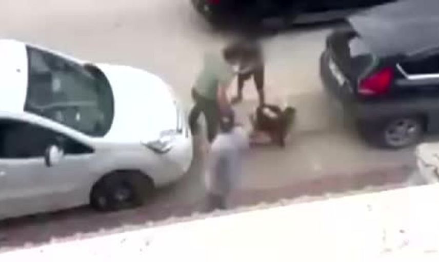 Adana'da çocuğunun annesine şiddet uygulayan adama müdahale etti
