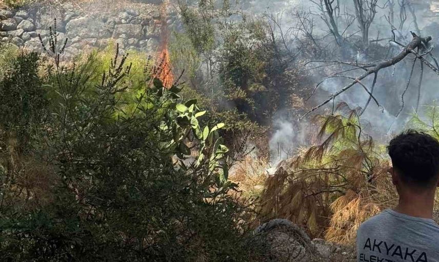 Akyaka'da zeytinlikte çıkan yangın mahalle halkını endişelendirdi