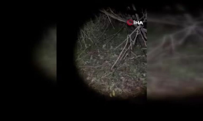 Çatalca ormanlarında kaybolan iki kişi sabaha karşı bulundu