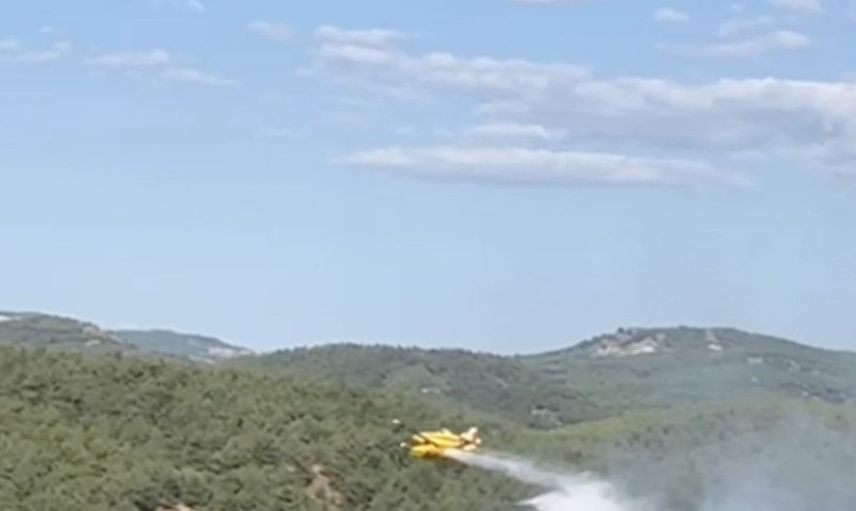 Ayvalık'taki orman yangını kontrol altına alındı