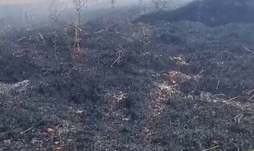 Adıyaman'da kopan elektrik telleri yangına sebep oldu
