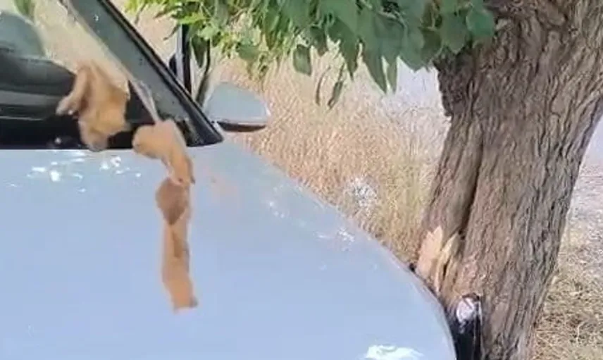 Elazığ-Bingöl yolunda kaza: iki yaralı hastaneye kaldırıldı