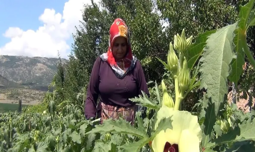 Çiftçiler doğallıkla pazarları sallıyor: Aracısız satışın önemi