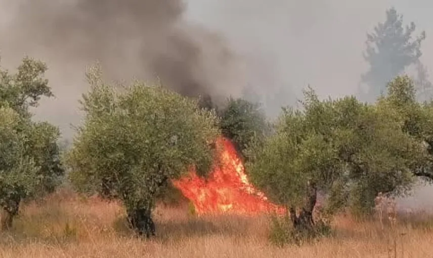 Aksu orman yangınında söndürme faaliyetleri tüm hızıyla sürüyor