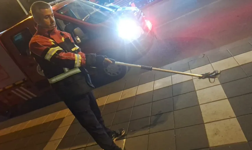 Cami bahçesine giren yılan, itfaiye tarafından doğaya bırakıldı